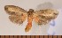  ( - CLV3292)  @13 [ ] Copyright (2011) David C. Lees Unspecified