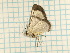  ( - CLV3673)  @13 [ ] Copyright (2011) Olivier Bouteleux Unspecified