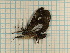  ( - CLV3692)  @12 [ ] Copyright (2011) Olivier Bouteleux Unspecified