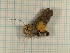  ( - CLV3694)  @12 [ ] Copyright (2011) Olivier Bouteleux Unspecified