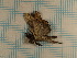  ( - CLV3725)  @12 [ ] Copyright (2011) Olivier Bouteleux Unspecified