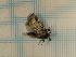  ( - CLV3748)  @12 [ ] Copyright (2011) Olivier Bouteleux Unspecified