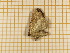  ( - CLV4404)  @13 [ ] Copyright (2012) Olivier Bouteleux Unspecified