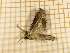  ( - CLV440812)  @12 [ ] Copyright (2012) Olivier Bouteleux Unspecified