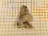  ( - CLV4427)  @12 [ ] Copyright (2012) Olivier Bouteleux Unspecified