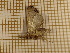  ( - CLV3787)  @13 [ ] Copyright (2011) Olivier Bouteleux Unspecified