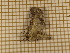  ( - CLV3792)  @12 [ ] Copyright (2011) Olivier Bouteleux Unspecified