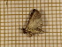 ( - CLV3801)  @12 [ ] Copyright (2011) Olivier Bouteleux Unspecified