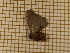  ( - CLV3804)  @12 [ ] Copyright (2011) Olivier Bouteleux Unspecified