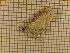  ( - CLV3811)  @12 [ ] Copyright (2011) Olivier Bouteleux Unspecified