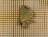  ( - CLV3812)  @12 [ ] Copyright (2011) Olivier Bouteleux Unspecified