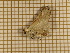  ( - CLV3824)  @12 [ ] Copyright (2011) Olivier Bouteleux Unspecified