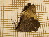  ( - CLV3835)  @12 [ ] Copyright (2011) Olivier Bouteleux Unspecified