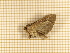  ( - CLV3837)  @12 [ ] Copyright (2011) Olivier Bouteleux Unspecified