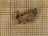  ( - CLV3843)  @13 [ ] Copyright (2011) Olivier Bouteleux Unspecified