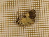  ( - CLV3853)  @12 [ ] Copyright (2011) Olivier Bouteleux Unspecified