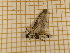  ( - CLV3914)  @12 [ ] Copyright (2012) Olivier Bouteleux Unspecified