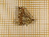  ( - CLV3930)  @12 [ ] Copyright (2012) Olivier Bouteleux Unspecified