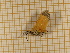  ( - CLV3932)  @12 [ ] Copyright (2012) Olivier Bouteleux Unspecified