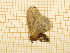  ( - CLV3976)  @12 [ ] Copyright (2012) Olivier Bouteleux Unspecified