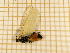  ( - CLV3989)  @12 [ ] Copyright (2012) Olivier Bouteleux Unspecified