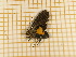  ( - CLV400911)  @12 [ ] Copyright (2012) Olivier Bouteleux Unspecified