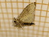  ( - CLV4060)  @12 [ ] Copyright (2012) Olivier Bouteleux Unspecified