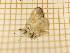 ( - CLV4072)  @12 [ ] Copyright (2012) Olivier Bouteleux Unspecified