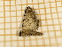  ( - CLV4095)  @12 [ ] Copyright (2012) Olivier Bouteleux Unspecified