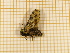  ( - CLV4099)  @13 [ ] Copyright (2012) Olivier Bouteleux Unspecified