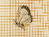  ( - CLV4111)  @12 [ ] Copyright (2012) Olivier Bouteleux Unspecified