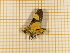  ( - CLV4121)  @12 [ ] Copyright (2012) Olivier Bouteleux Unspecified