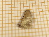  ( - CLV4154)  @12 [ ] Copyright (2012) Olivier Bouteleux Unspecified