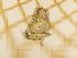  ( - CLV4161)  @12 [ ] Copyright (2012) Olivier Bouteleux Unspecified