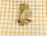  ( - CLV4169)  @13 [ ] Copyright (2012) Olivier Bouteleux Unspecified