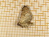  ( - CLV4172)  @12 [ ] Copyright (2012) Olivier Bouteleux Unspecified
