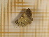  ( - CLV4187)  @13 [ ] Copyright (2012) Olivier Bouteleux Unspecified