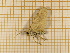  ( - CLV4200)  @12 [ ] Copyright (2012) Olivier Bouteleux Unspecified