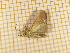  ( - CLV420811)  @12 [ ] Copyright (2012) Olivier Bouteleux Unspecified