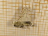  ( - CLV4788)  @12 [ ] Copyright (2012) Olivier Bouteleux Institut National de la Recherche Agronomique, Forestry Zoology