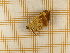  ( - CLV5343)  @13 [ ] Copyright (2012) Olivier Bouteleux Unspecified