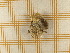  ( - CLV5371)  @12 [ ] Copyright (2012) Olivier Bouteleux Unspecified