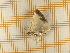  ( - CLV5377)  @12 [ ] Copyright (2012) Olivier Bouteleux Unspecified