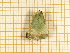  ( - CLV561012)  @12 [ ] Copyright (2012) Olivier Bouteleux Institut National de la Recherche Agronomique, Forestry Zoology
