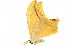  ( - BIOUG00736-G05)  @13 [ ] CreativeCommons - Attribution (2011) CBG Photography Group Centre for Biodiversity Genomics