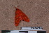  ( - NS-RR0029)  @12 [ ] Copyright (2011) Rodolphe Rougerie University de Rouen