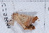  ( - NS-RR0463)  @12 [ ] Copyright (2011) Rodolphe Rougerie University de Rouen
