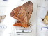  ( - NS-RR1814)  @12 [ ] Copyright (2011) Rodolphe Rougerie University de Rouen