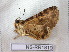  ( - NS-RR1819)  @12 [ ] Copyright (2011) Rodolphe Rougerie University de Rouen
