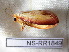  ( - NS-RR1849)  @13 [ ] Copyright (2011) Rodolphe Rougerie University de Rouen